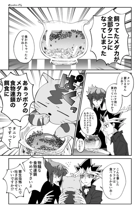 飼ってたメダカがタニシになった十表の話です 