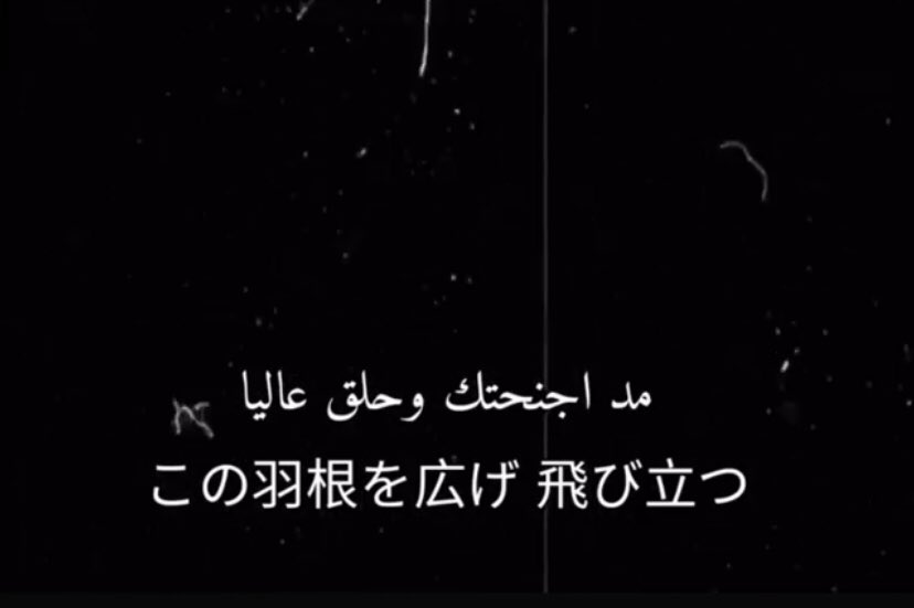 hebaanan7's tweet photo. Aoi aoi ano sora 🎶

ブルーバード https://t.co/XvB8vc89lj