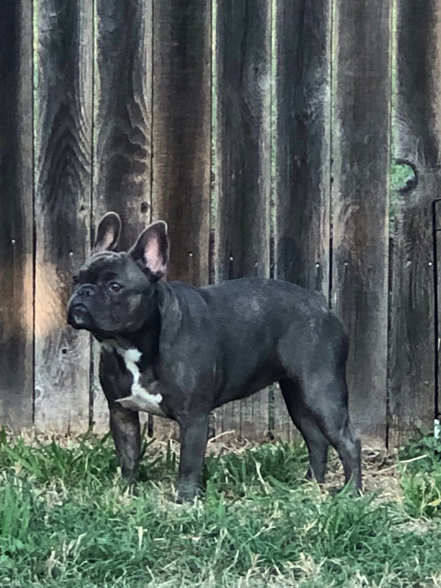 HanstromLisa's tweet image. Our Baby 💕