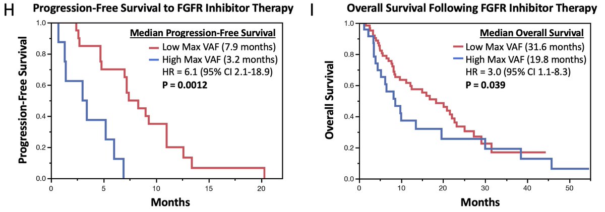 15/ 👉High pre-treatment cfDNA MaxVAF (VAF >9%) associated with shorter PFS to FGFRi & worse OS in pts with FGFR2 fusion-positive CCA. 📉Median PFS = 3.2 vs 7.9 months ▶️ HR: 6.1 (95%CI 2.1-19; P=0.001) 📉Median OS = 19.8 vs 31.6 months ▶️ HR: 3.0 (95%CI 1.1-8.3; P=0.039)