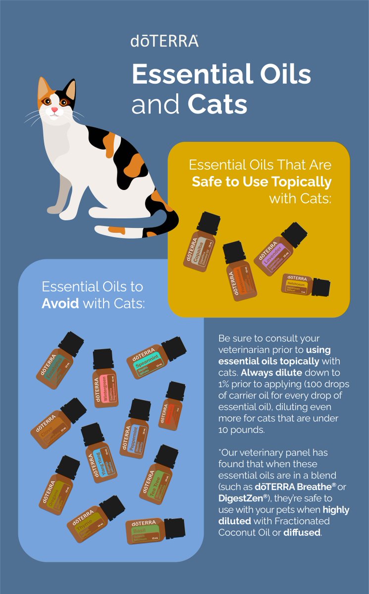 doterra's tweet photo. Worried about your feline friends? Here’s our study guide to help you know which essential oils are safe to use with your cats. https://t.co/Iyv7YoeuIS