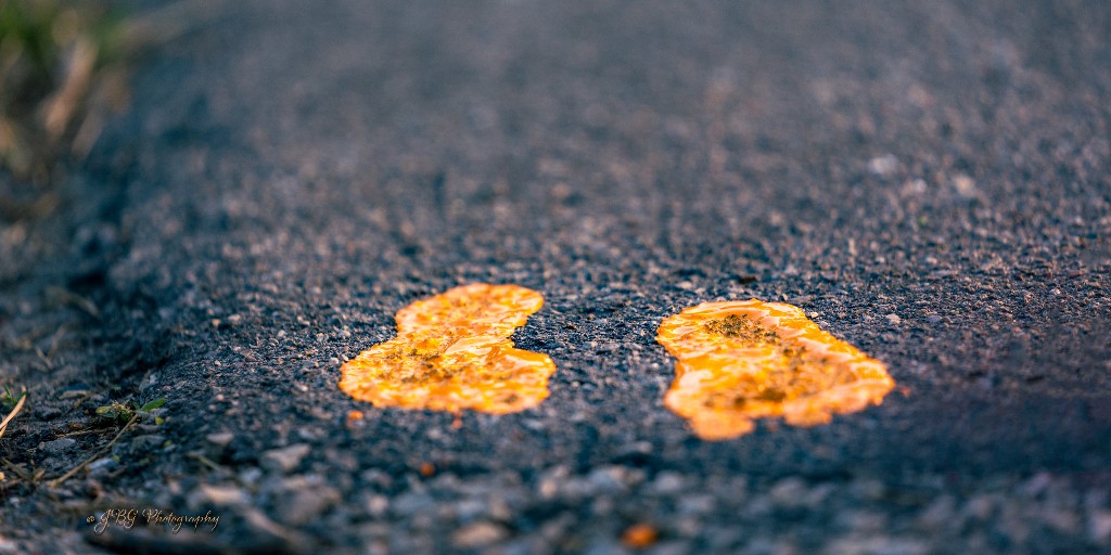 NEWS: Every Child Matters crosswalk to be unveiled at Victoria Park this Friday, Sept. 16 at noon.

Details: bit.ly/3RO8Uj2

#VictoriaParkKit