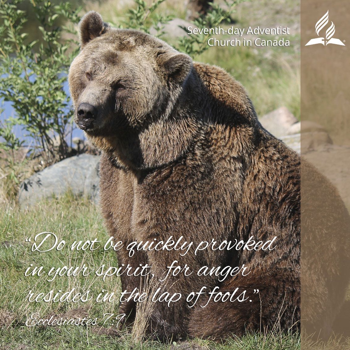 SDA_Messenger's tweet photo. LIKE and SHARE if you were blessed by this verse!

#TuesdayText #CanadianAdventistMessenger https://t.co/gvxLCQuauy