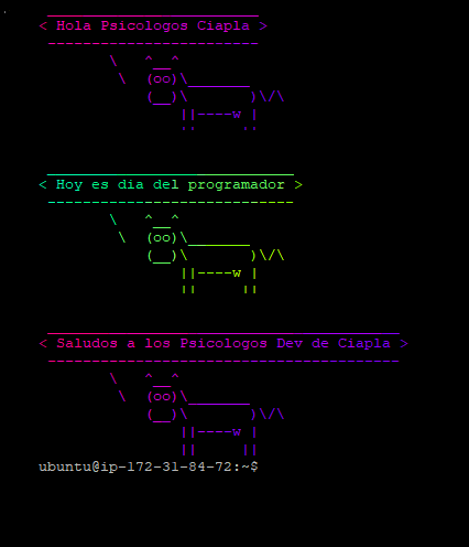 ciapla's tweet photo. Feliz día del Programador #DevelopersDay #DevOps https://t.co/Q8wy5JoTCb
