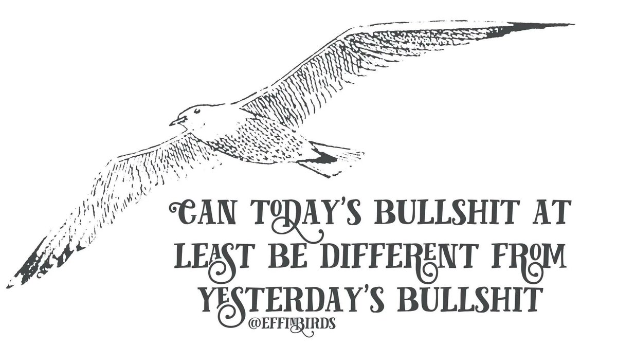 EffinBirds's tweet photo. https://t.co/nVwhzxLbKh