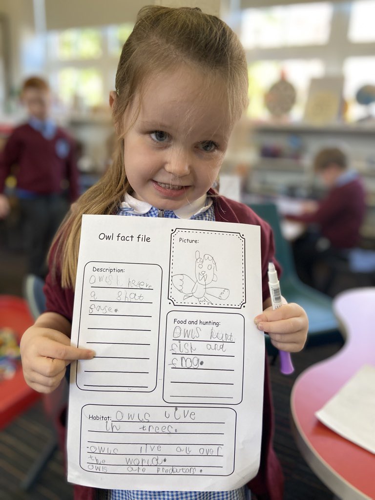 StCharlesGla's tweet photo. Primary 3/2โs #BookStudy is #TheOwlWhoWasAfraidOfTheDark.
The children watched a video about owls, took notes, and then turned their notes into sentences to create an Owl #FactFile. #ReadingIntoWriting @literacyfor_ALL https://t.co/wTWrgaHtHn