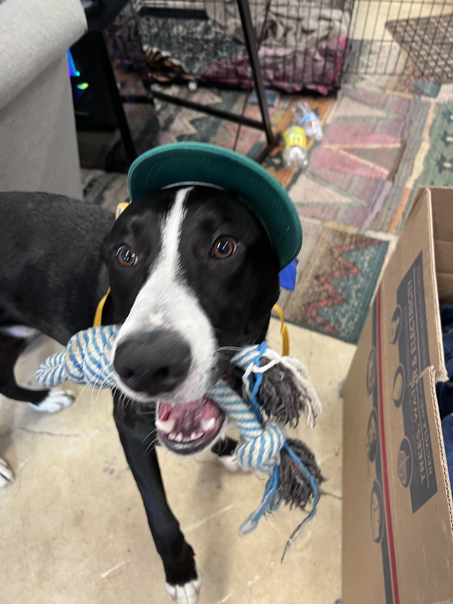 kingdevolved's tweet image. Bruce Wayne