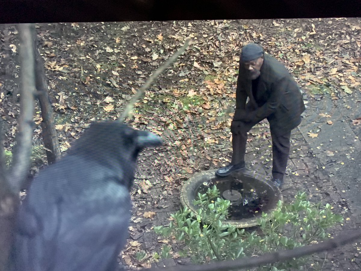 Bleyddyn tweet media