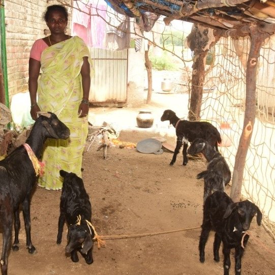 EU Can Aid tweet media