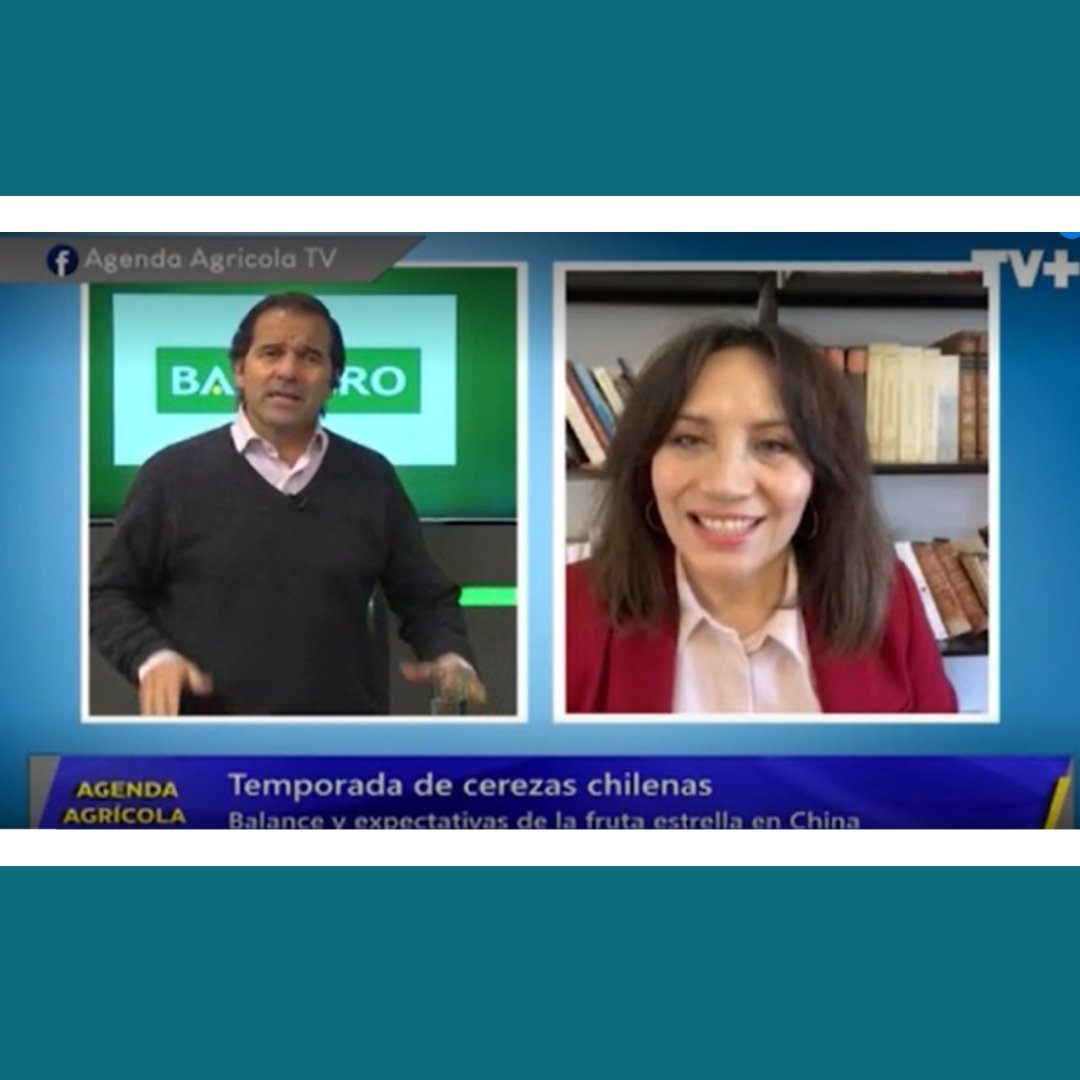 iQonsulting (@iqonsulting) on Twitter photo “Todo indica que vamos a tener un alza importante en la próxima temporada, del orden de un 30%”, señaló la directora de <a href="/iQonsulting/">iQonsulting</a> en el programa <a href="/Agenda_Agricola/">Agenda Agricola</a>
agendaagricola.cl/emitidos-en-ag… “Todo indica que vamos a tener un alza importante en la próxima temporada, del orden de un 30%”, señaló la directora de <a href="/iQonsulting/">iQonsulting</a> en el programa <a href="/Agenda_Agricola/">Agenda Agricola</a>
agendaagricola.cl/emitidos-en-ag…