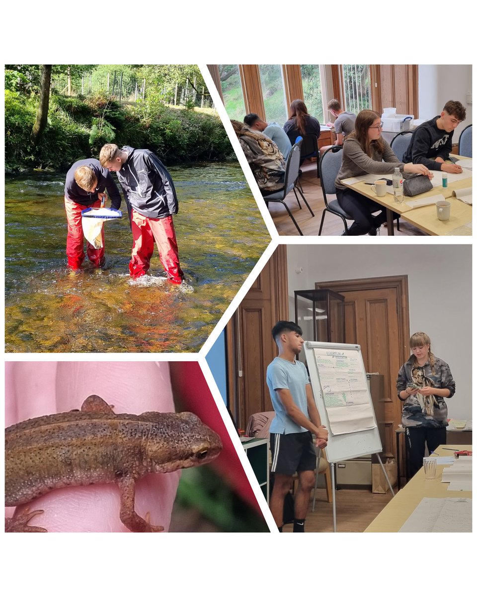 Ms Atchison tweet media