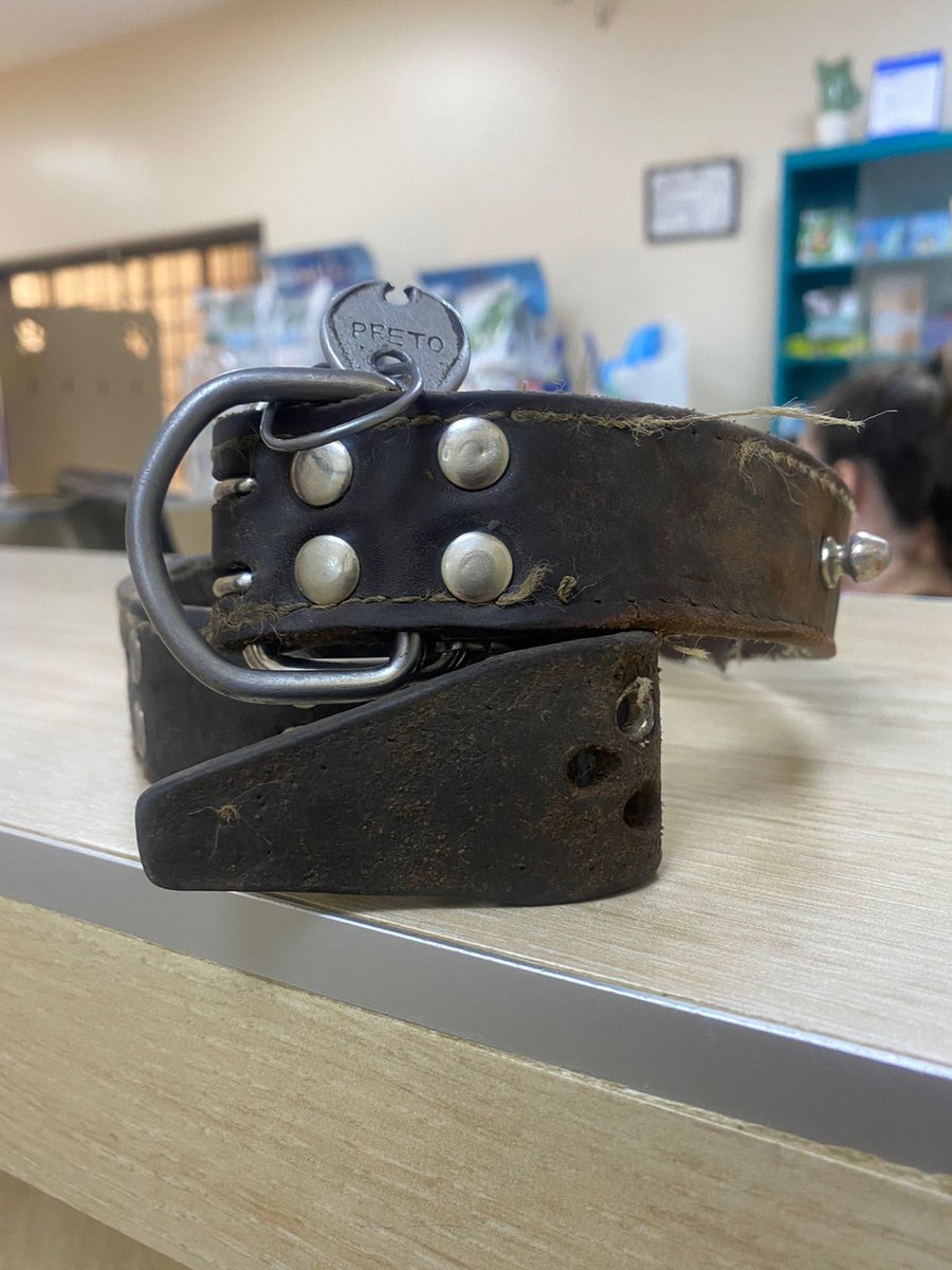 Labrador negro macho encontrado en villa morra !!! Buscamos a su dueño. RT por favor!