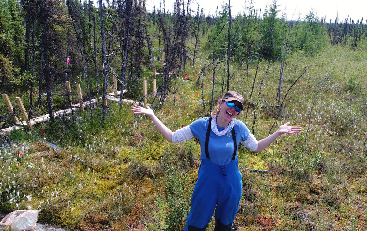 I love bogs for a million reasons.  One is that they have removed carbon out of the atmosphere and locked it away in peat, thus cooling the Earth's climate for thousands of years. Today, we urgently need to protect bogs to protect our climate. Save a bog, save ourselves.