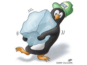 CityIceColorado's tweet photo. Walk in Freezer down? 
Order Dry Ice NOW!
https://t.co/RKYtdAr4rt https://t.co/wCW1XRz52u