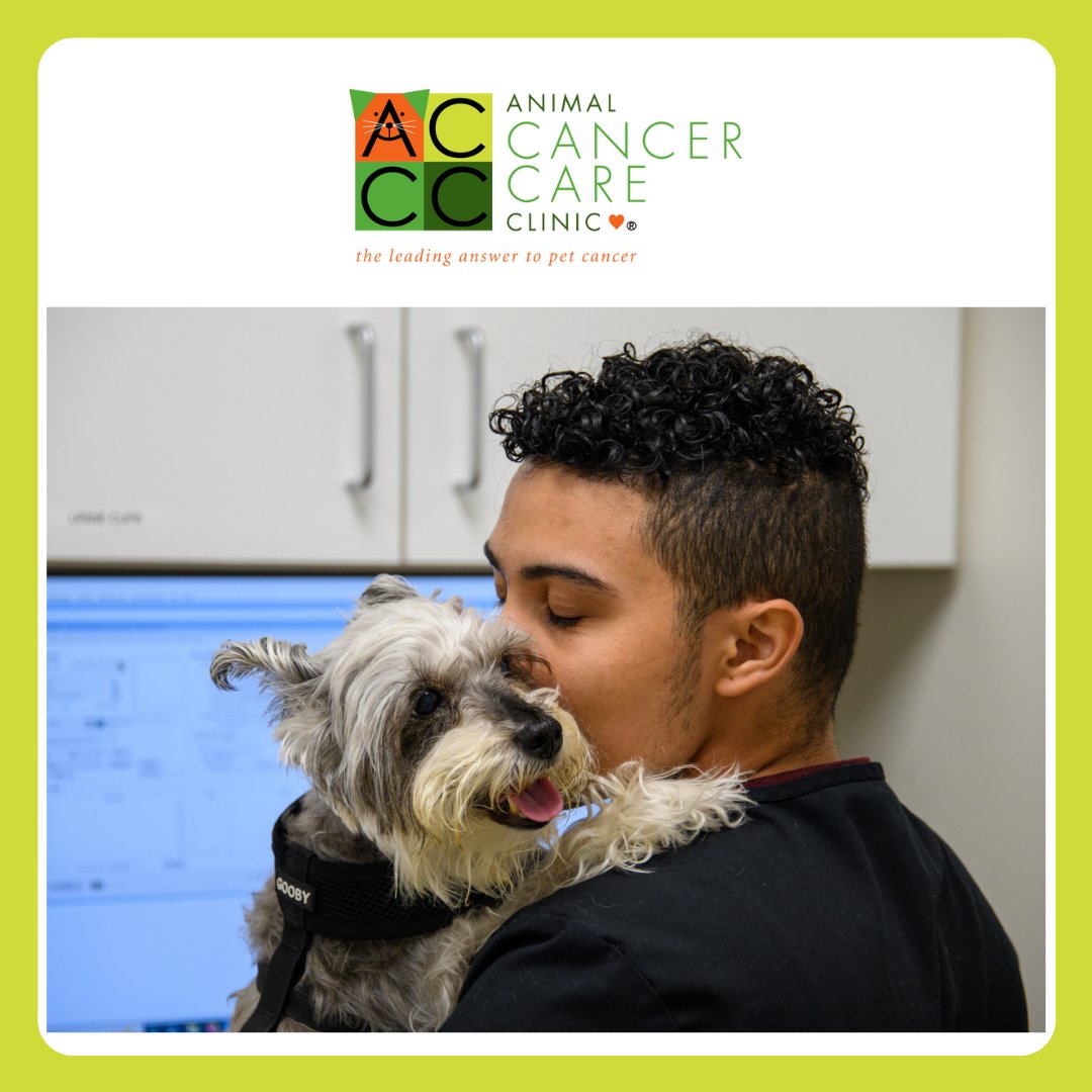 PetCancerCare's tweet photo. ACCC is dedicated to giving HOPE and finding a cure for pet cancer and caring for your pet during their diagnosis and treatment. That’s why your consultant will create an Optimal OUTCOMES Care Guide. #AnimalCancerCareClinic #PetCancer https://t.co/bm7m1o05II https://t.co/bPihrsnMj4