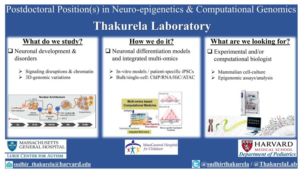 📢Plz. RT📢 📢#Postdoc position(s)📢 @ThakurelaLab @mghfc & @harvardmed is looking for a #postdoc in #Epigenetics & #CompBio to dissect the effects of signaling disruptions on epigenome & 3D-genome during neuronal dev. & disorder. Check the details below! DM/Email to discuss!