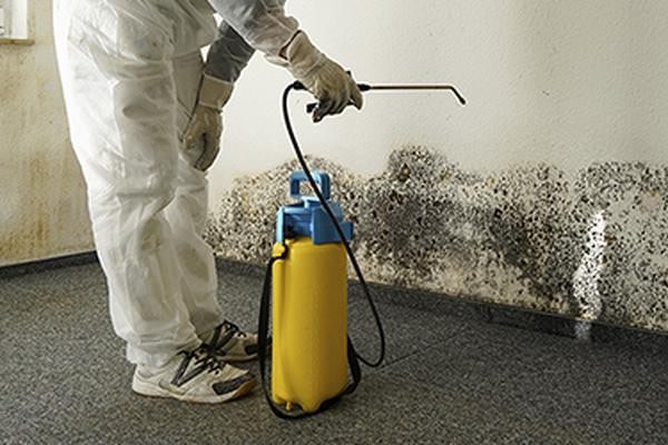 ParamountRestor's tweet photo. 4 Fast Facts About Mold and How To Best Remove It…
https://t.co/PpPojAFRNU https://t.co/wbCFIaufSS