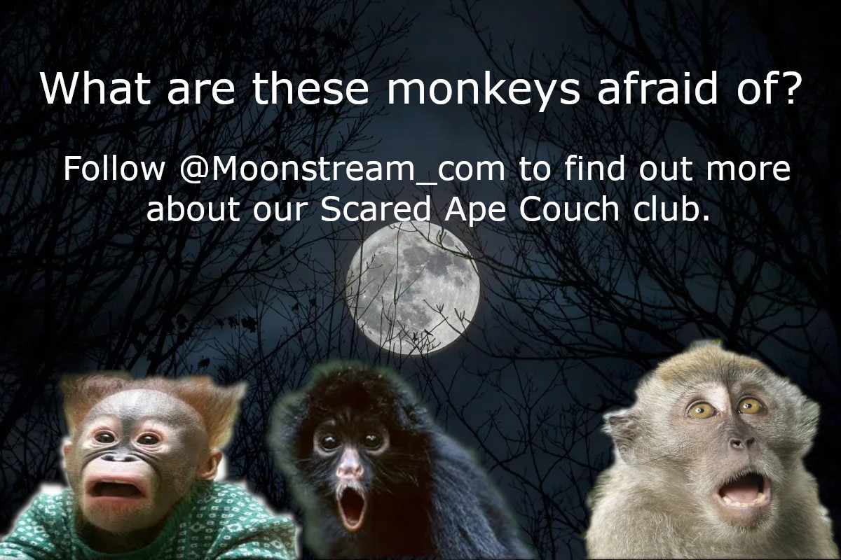 Moonstream tweet media