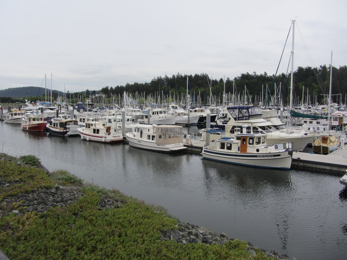 AWC_JobNet's tweet photo. Take your career to the next level as Municipal Broadband Network Administrator for the City of Anacortes. Get the details on AWC JobNet.

#WAcities #JobSearch #LocalGov 
 
https://t.co/H0Gfl8rbU8 https://t.co/veOdOj0cI3