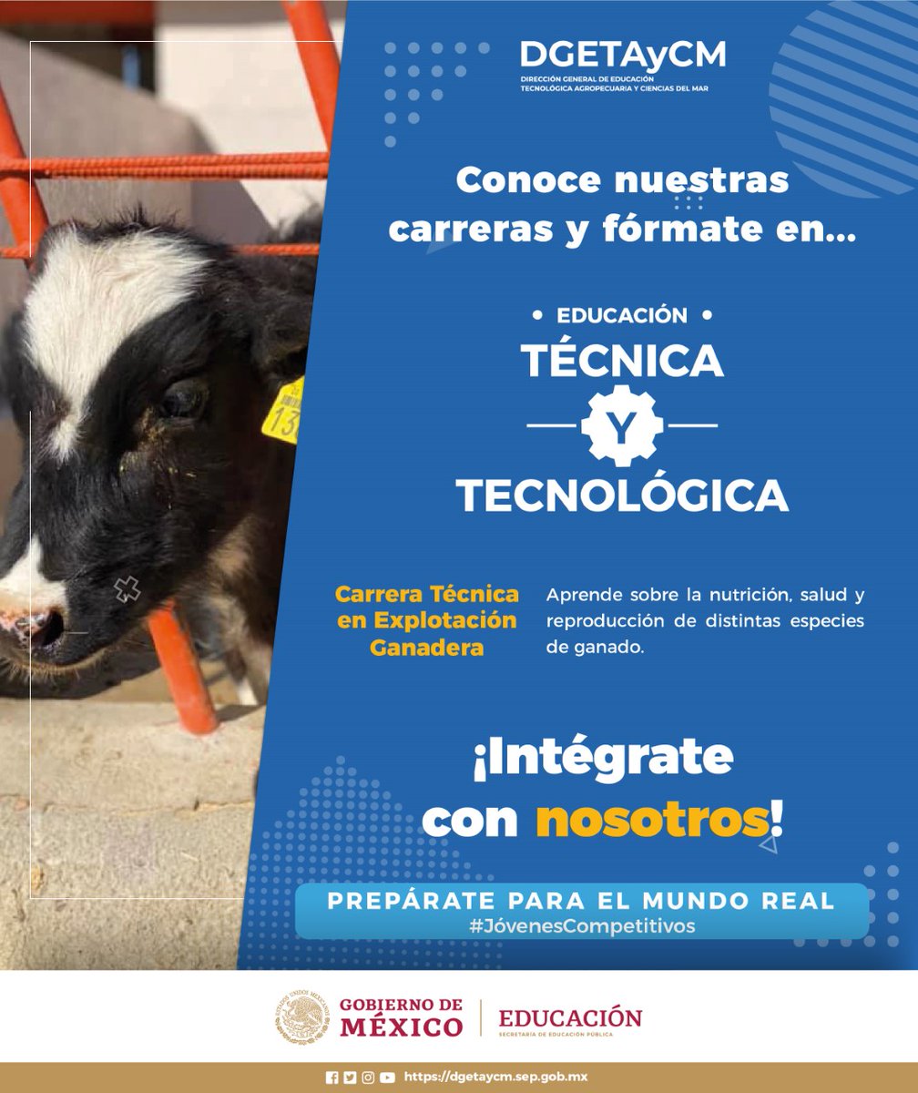 Con Educación Técnica y Tecnológica podrás trabajar en la especialidad que
estudiaste.
En la DGETAyCM tu puedes ser parte de #JóvenesCompetitivos ����
Clic aquí para más información �� bit.ly/3nQ3PJA
