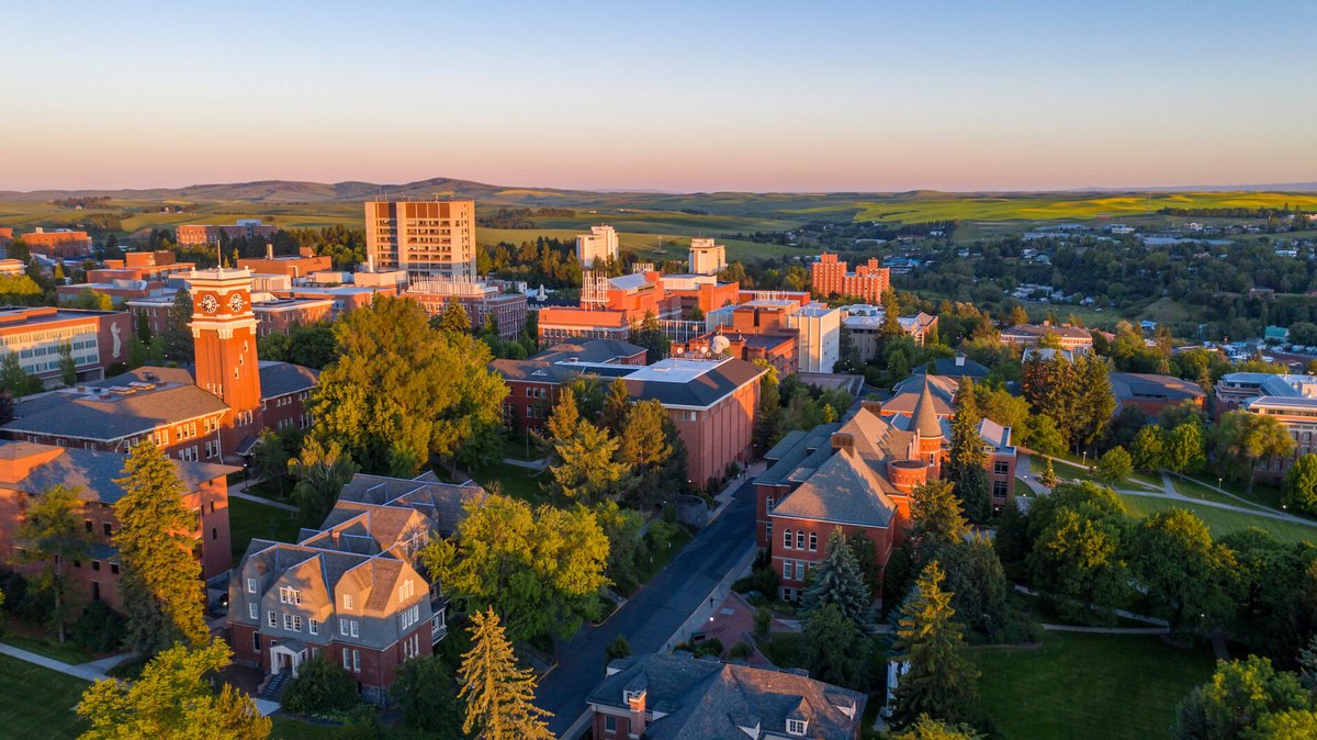 📢We're hiring! #WSU Anthropology seeks a broadly trained scholar who draws on one or more subfields of #anthropology &amp; focuses on #Native American &amp; #Indigenous communities of North America. Initial screening: Oct 24, 2022.

See more &amp; apply: wsu.wd5.myworkdayjobs.com/en-US/WSU_Jobs…

📷R Hubner
