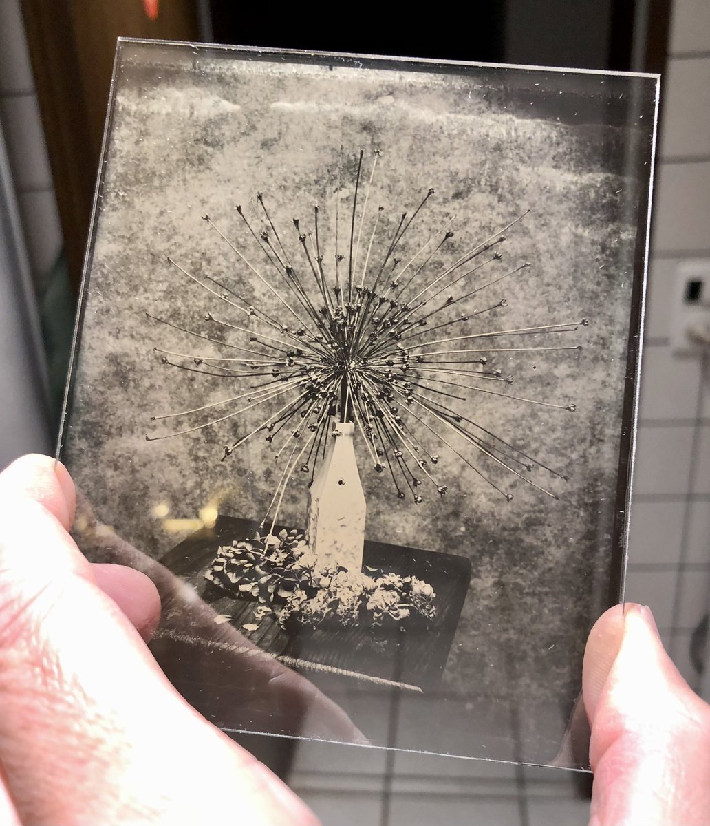 MartinNienberg's tweet photo. When Nature Makes Art
Dry plate ambrotype from today. Still a bit wet.
I am happy with how this came out so far.
#believeinfilm
#dryplatephotography
#ambrotypes https://t.co/6NMmMn5gGJ