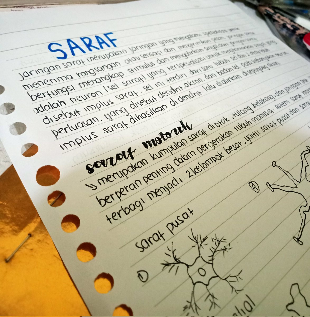 loml_echann's tweet photo. pusinggg 
besok presentasi tentang jaringan saraf t_t https://t.co/KSBdOSxhx5