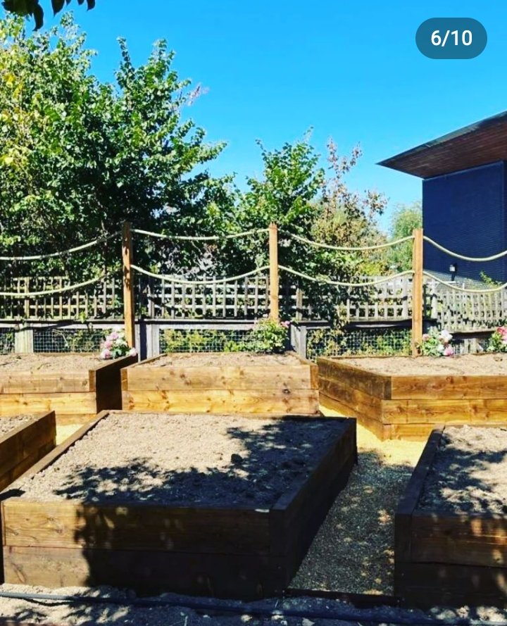 Sunflowercircl's tweet photo. It is both beautiful &amp; comforting to see that the place she spent majority of her last days days impacting the lives of her students and much loved colleagues have a given life to her name through the garden they have been working so very hard to create over the summer . 

🧵 2/3 https://t.co/fZce3Z6Kjc