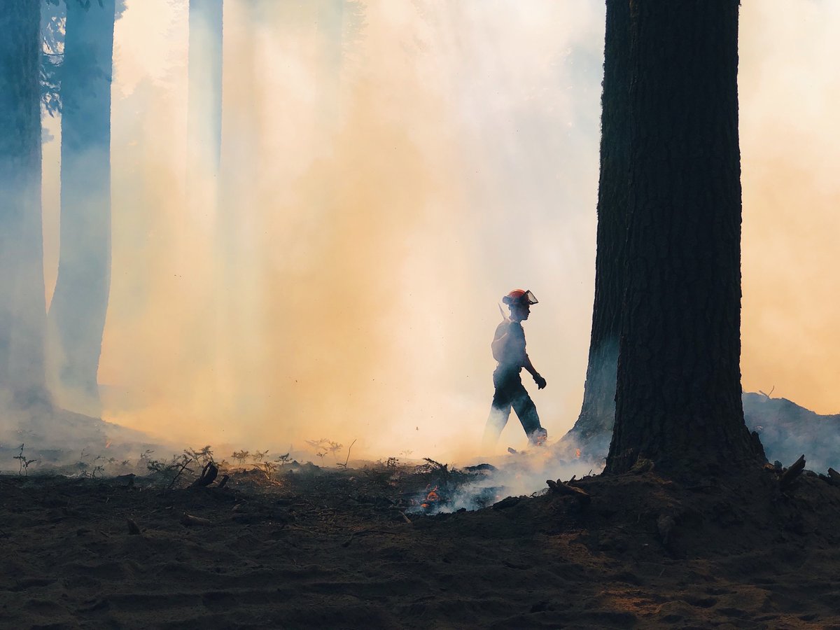 Smoke and haze are visible throughout much of B.C. today. This smoke is being produced by larger wildfires burning in the province, including in Manning Park, #Hope, #HudsonsHope and near Kaslo. There are also significant wildfires burning in western Washington and Oregon.