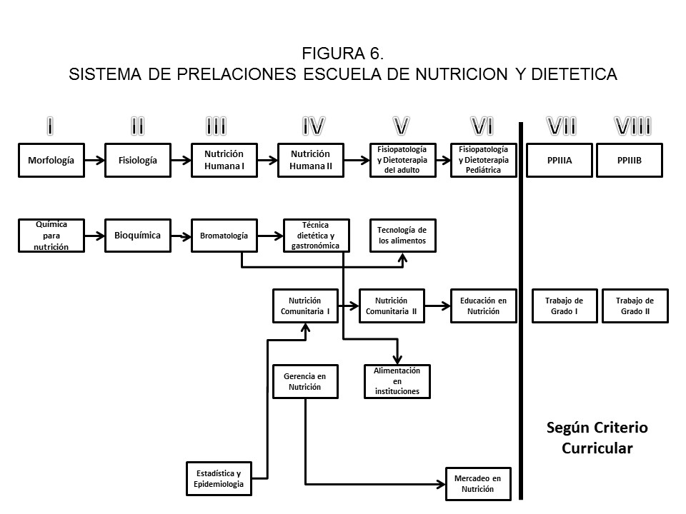Nutricion.Secdoc.LUZ tweet media