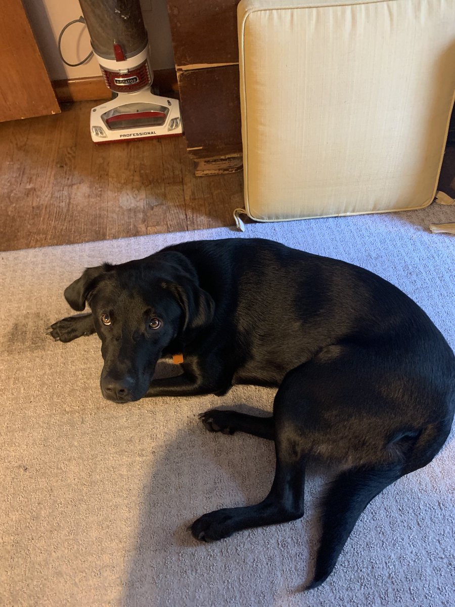 tain331's tweet image. Happy Birthday Bote 1 year old