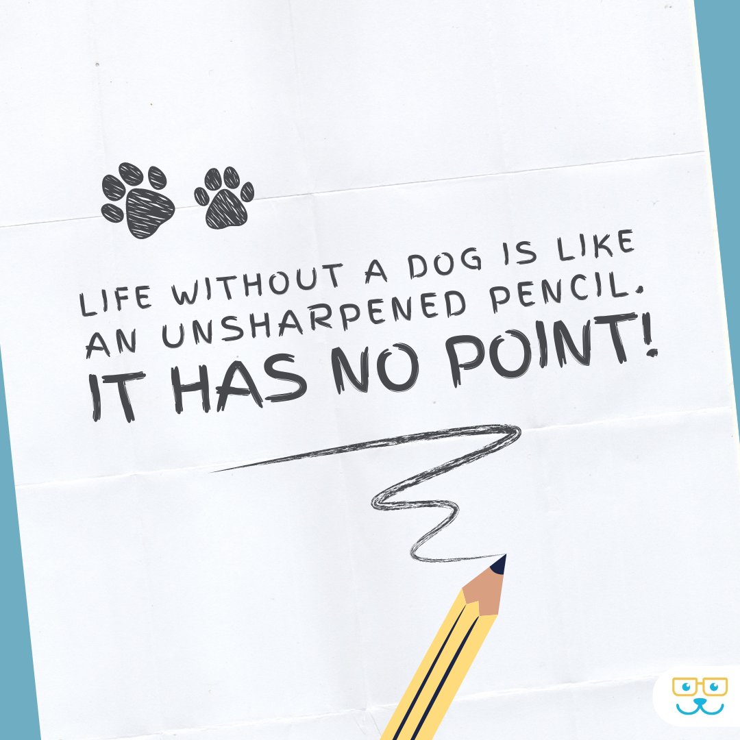 Dogs make everything better! Write that down...📝 #dogquotes #quote #sotrue