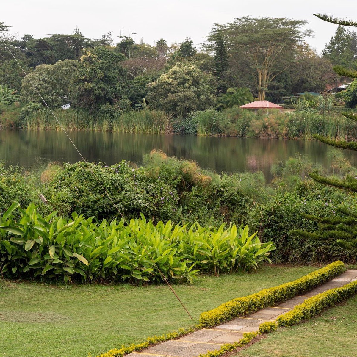 eric44k's tweet image. #NewProfilePic