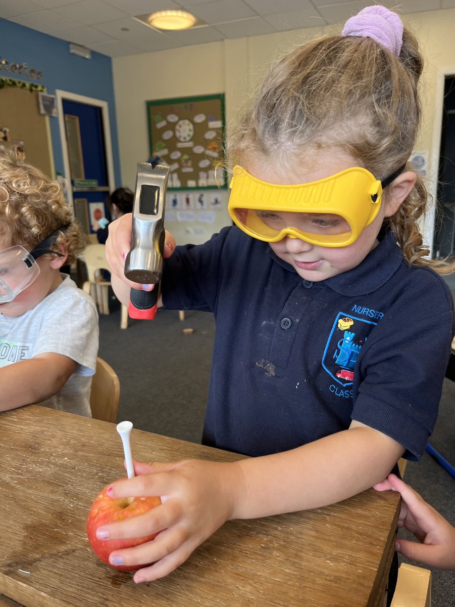 NurserySimpson's tweet photo. Today we were exploring how to stay safe at our woodwork bench whilst using hammers. To help us practice we started by using apples and golf tees, counting how many holes we could make in each apple ππ¨#safesally #woodwork https://t.co/Mnq0yJgQch