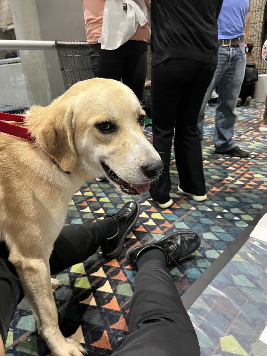 There. Are. Dogs. Here. #GSX2022
