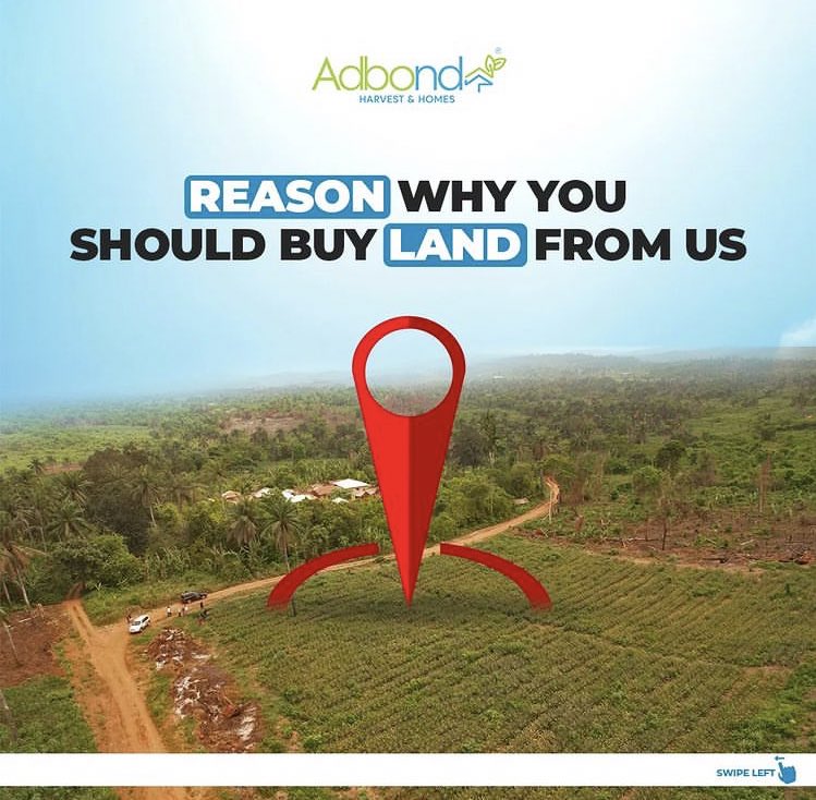 Dayo_TheRealtor's tweet photo. REASONS WHY YOU SHOULD BUY LAND FROM ADBOND
To get started WhatsApp: https://t.co/Z1g6h4nKnB https://t.co/AJCcjYGVAX