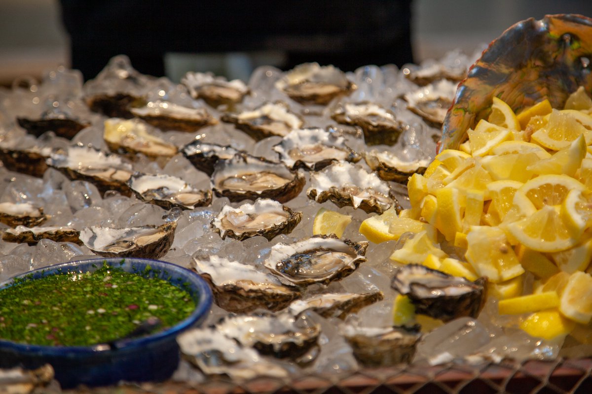 ErolFoundation's tweet photo. Erol, @836m_art, &amp; #AboveBelow hosted a delicious blue food tasting event. Participants sampled kelp-based food and spirits while enjoying the ongoing Kelp! exhibition. We were delighted to inspire visitors about the variety of life found in California’s coastal waters. https://t.co/00D2GesGYl