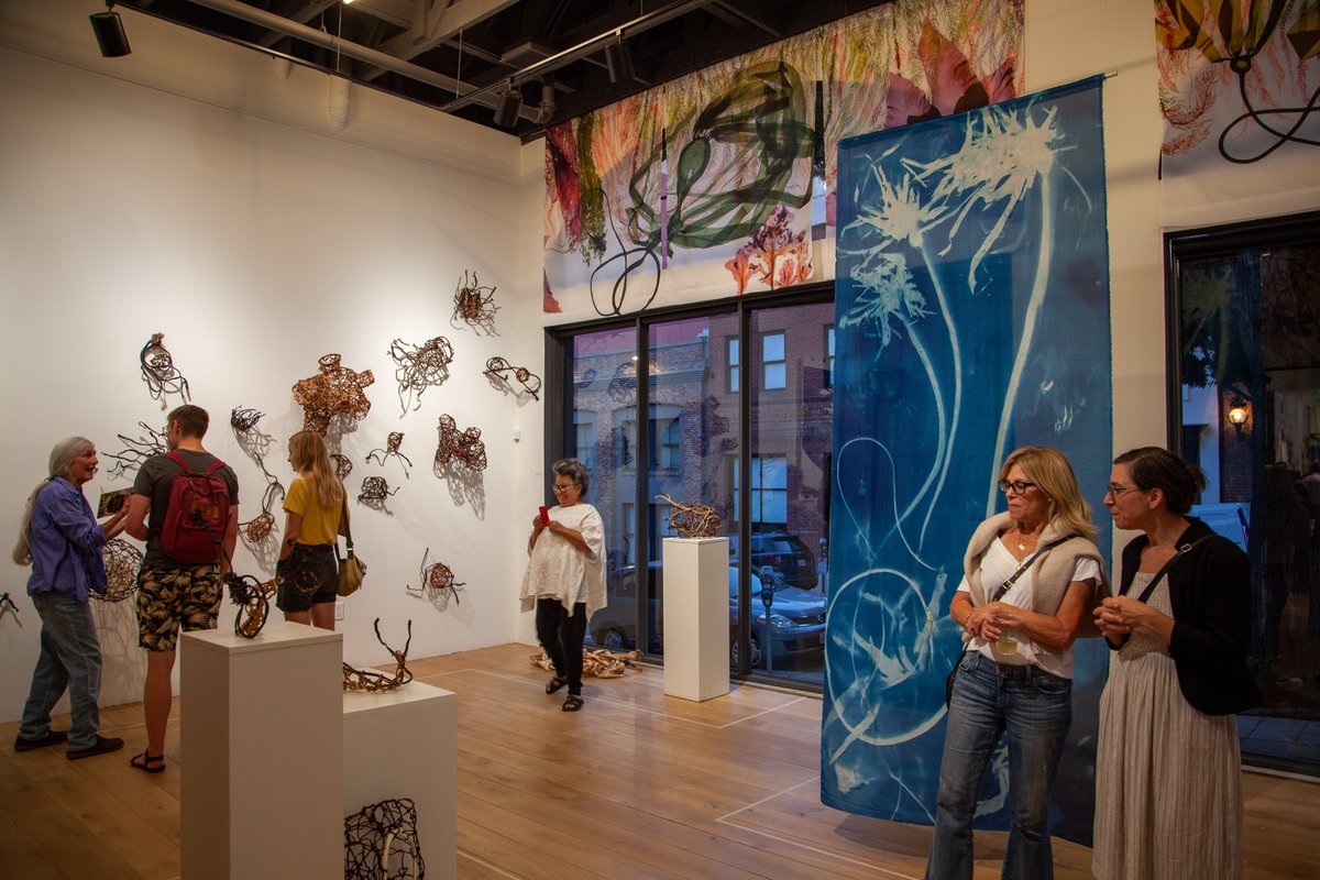 ErolFoundation's tweet photo. Erol, @836m_art, &amp; #AboveBelow hosted a delicious blue food tasting event. Participants sampled kelp-based food and spirits while enjoying the ongoing Kelp! exhibition. We were delighted to inspire visitors about the variety of life found in California’s coastal waters. https://t.co/00D2GesGYl