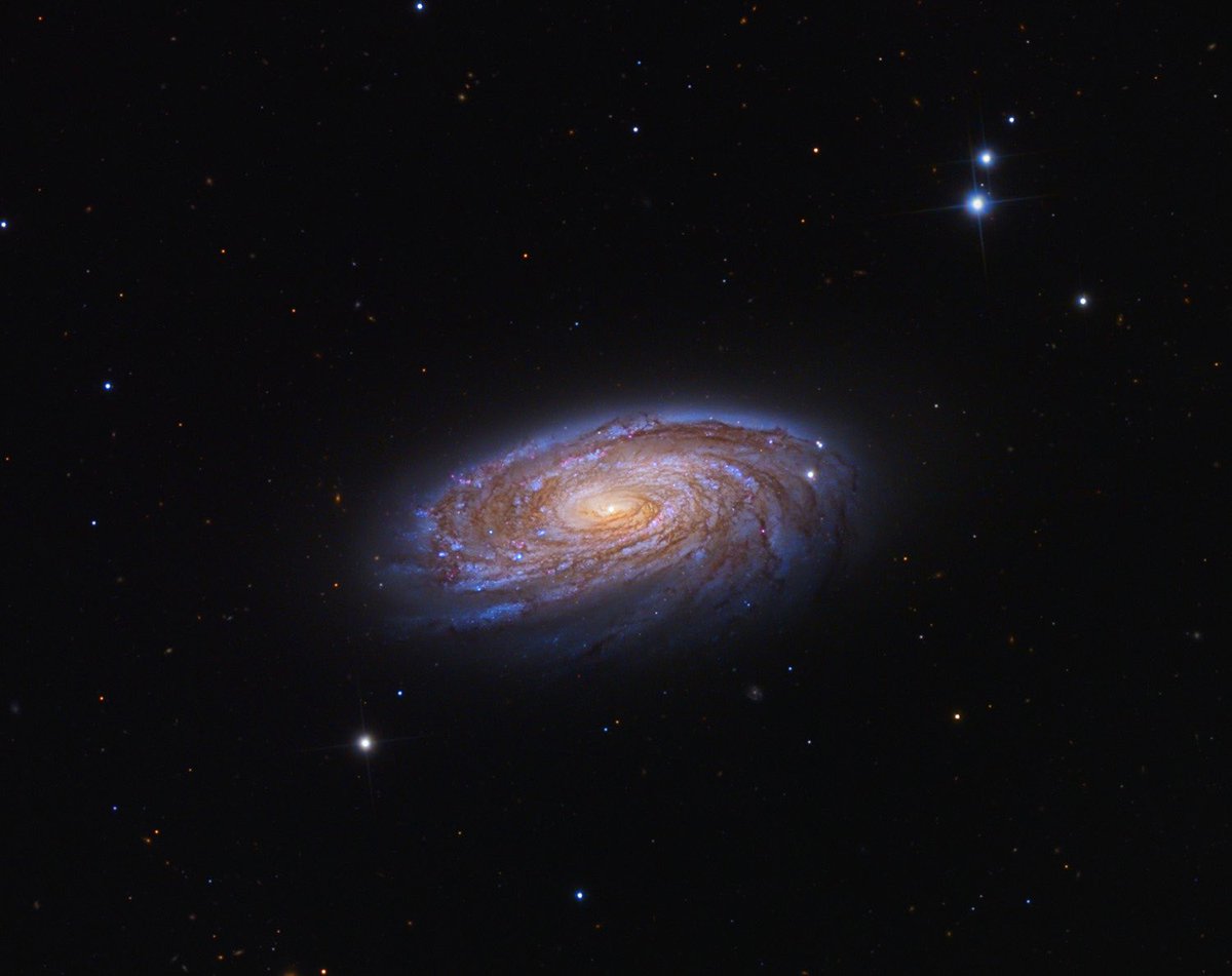 ContedeLespace's tweet photo. M88 : Une galaxie spirale à 58.7 millions d’années lumière de la Terre 
Elle fais près de 116000 années lumière de long (elle est légèrement plus grande que la nôtre avec “juste” 16000 années lumière de plus) 

© Adam Block / Hubble 

#nasa #Hubble #galaxy #space #photo #astro https://t.co/mUeWvTOZk7