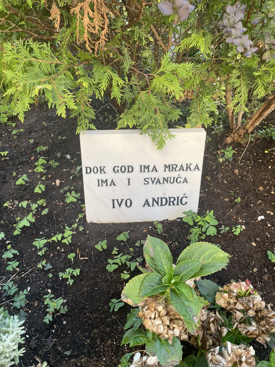 dr_error1's tweet image. #jsdp