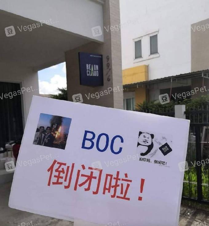 uninhibited09's tweet photo. If Douban pictures can be used as evidence, I can provide you with a lot of information about artists in your company. Will you also admit it as evidence? The video has been around for a long time. Why don't you take action? Waiting for me to knock them to death with my keyboard? https://t.co/8uZviRK0qm
