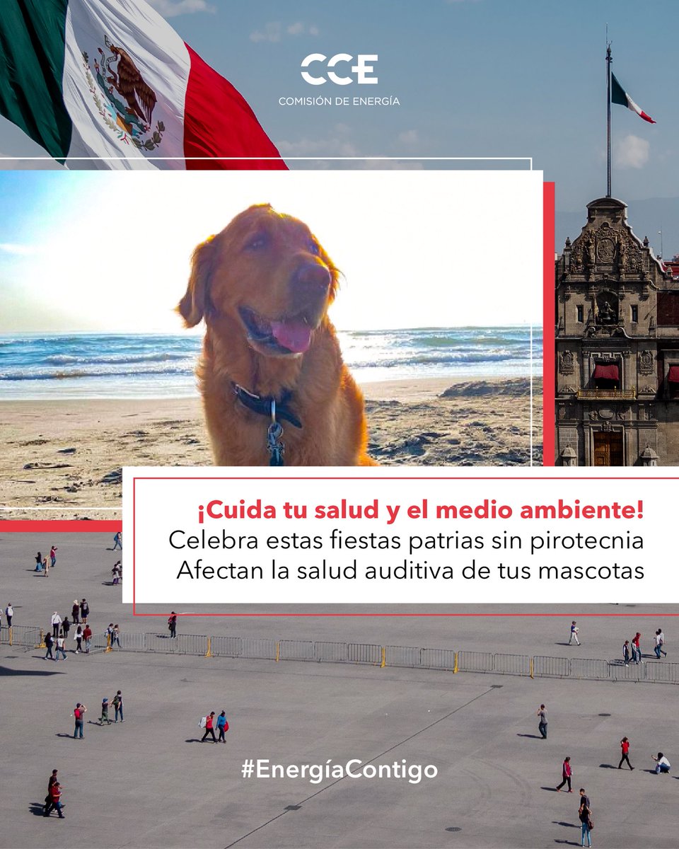 cceenergia's tweet photo. Durante estas fiestas patrias celebra sin pirotecnia, el medio ambiente y las mascotas te lo agradecerán.

#EnergíaContigo https://t.co/jz10pJ0p3p