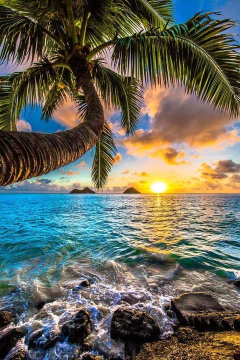 VieNatureSavoir's tweet photo. Good evening ๐ด๐ https://t.co/gmDkXOCHBN