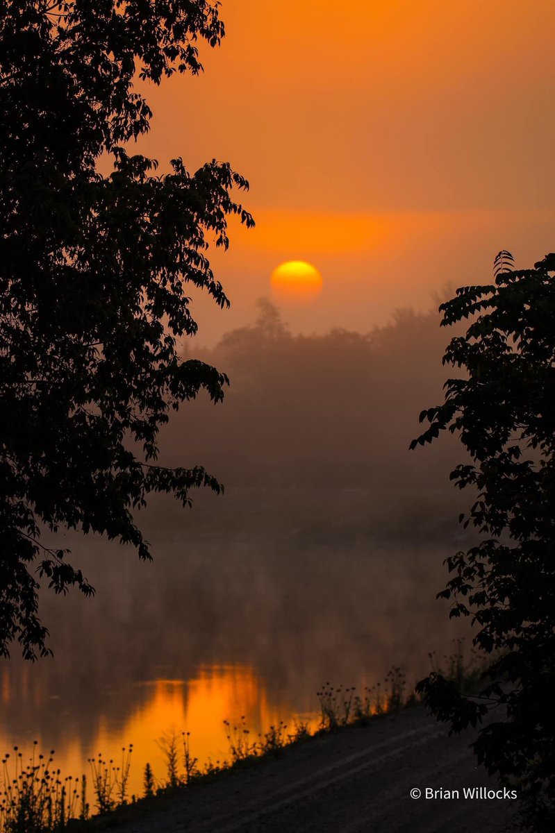 Yoda1027's tweet photo. I do love sunrise at Williamsport Lakes. 

#canon #canonphotography #sunrise #sunrisephotography #NaturePhotography #nature #getoutsidetn #tristaradventures https://t.co/uoCBHu2mgm