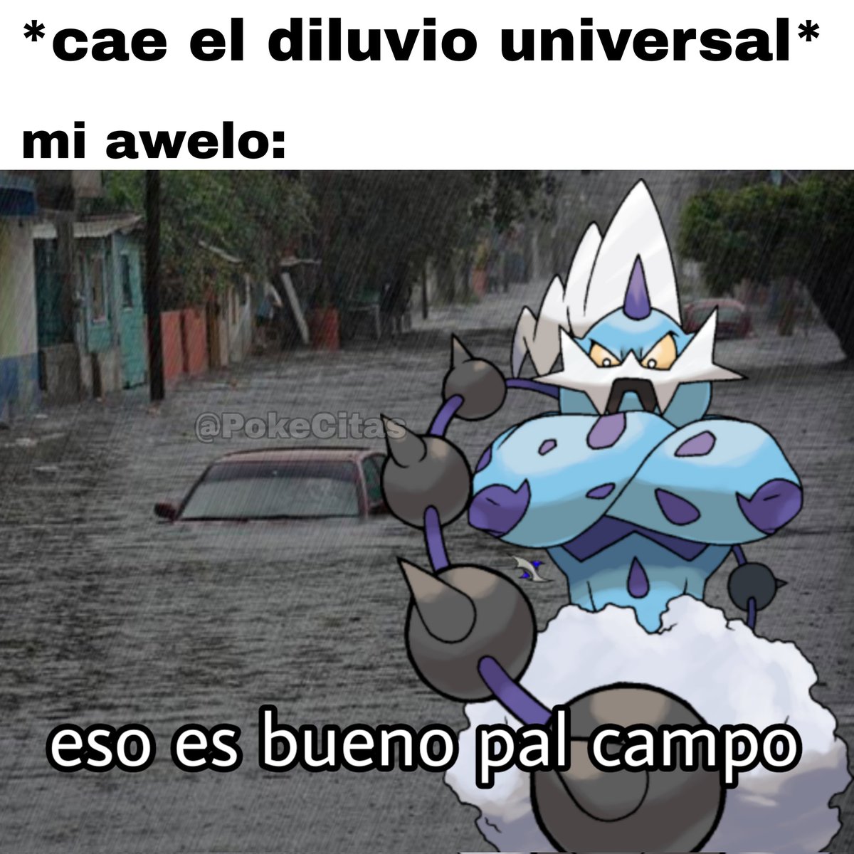 Memes Pokémon (@pokecitas) on Twitter photo 