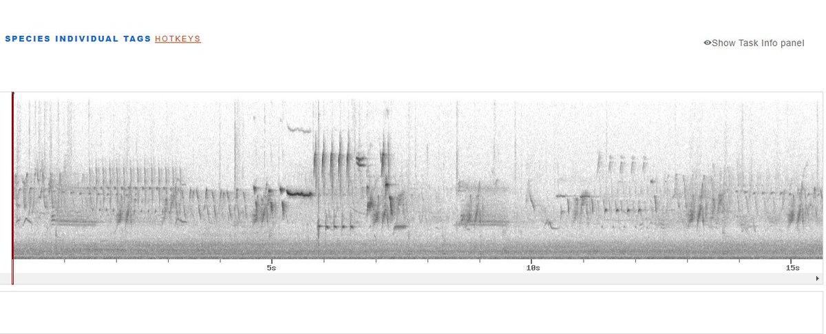 Fortunately, this isn't the EKG ❤️ result from my latest doctor's trip.

This is a spectrogram illustrating the frequencies of different bird calls I recorded. 🪺🐦

Any idea what birds might be calling?