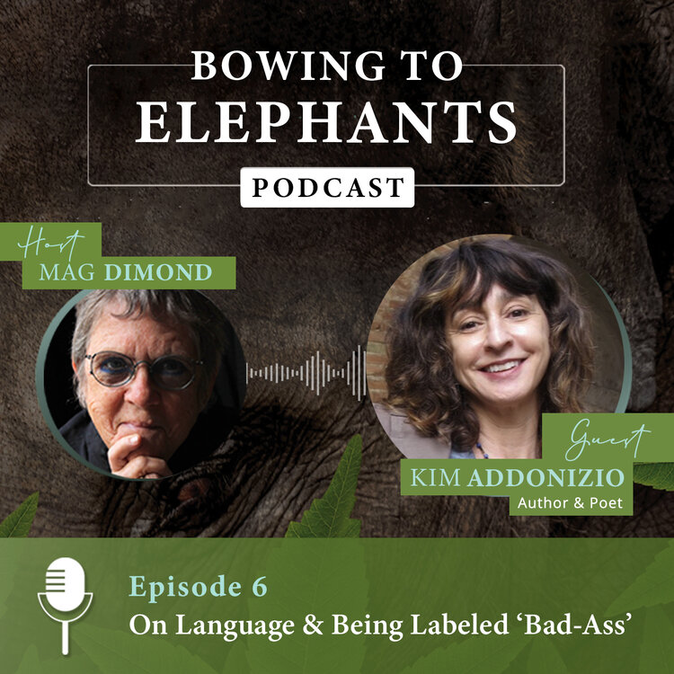 DimondMag's tweet photo. I am excited to have fellow writer and friend Kim Addonizio on the podcast. Her awards include a Guggenheim, two Pushcart Prizes, and two NEA fellowships. Listen in to find inspiration for your next writing project: https://t.co/g9XqPhg3zF #MagDimond @BenGioia @KimAddonizio https://t.co/wasS2aUA0i
