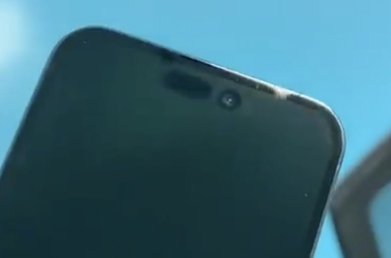 Ian Zelbo tweet media