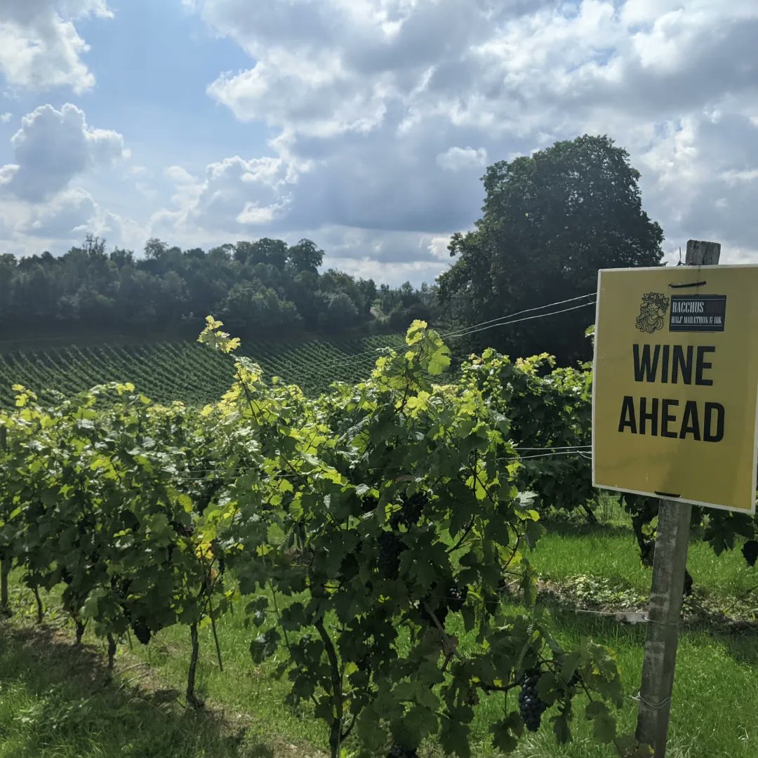 Leah Moo tweet media