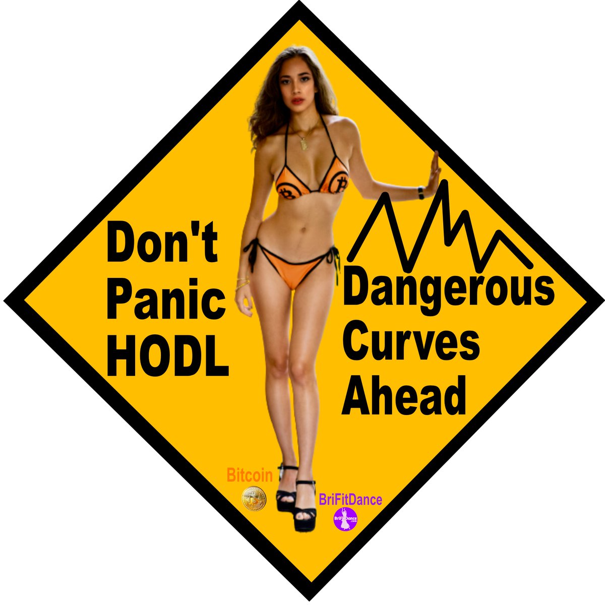 BriFitDance's tweet photo. Hey guys, it's not time to panic. It's time to HODL your #Bitcoin #longtermthinking #dangerouscurves #Bitcoinbikini #bikini #dontpanic #BriFitDance https://t.co/ZXhRfTQEPS